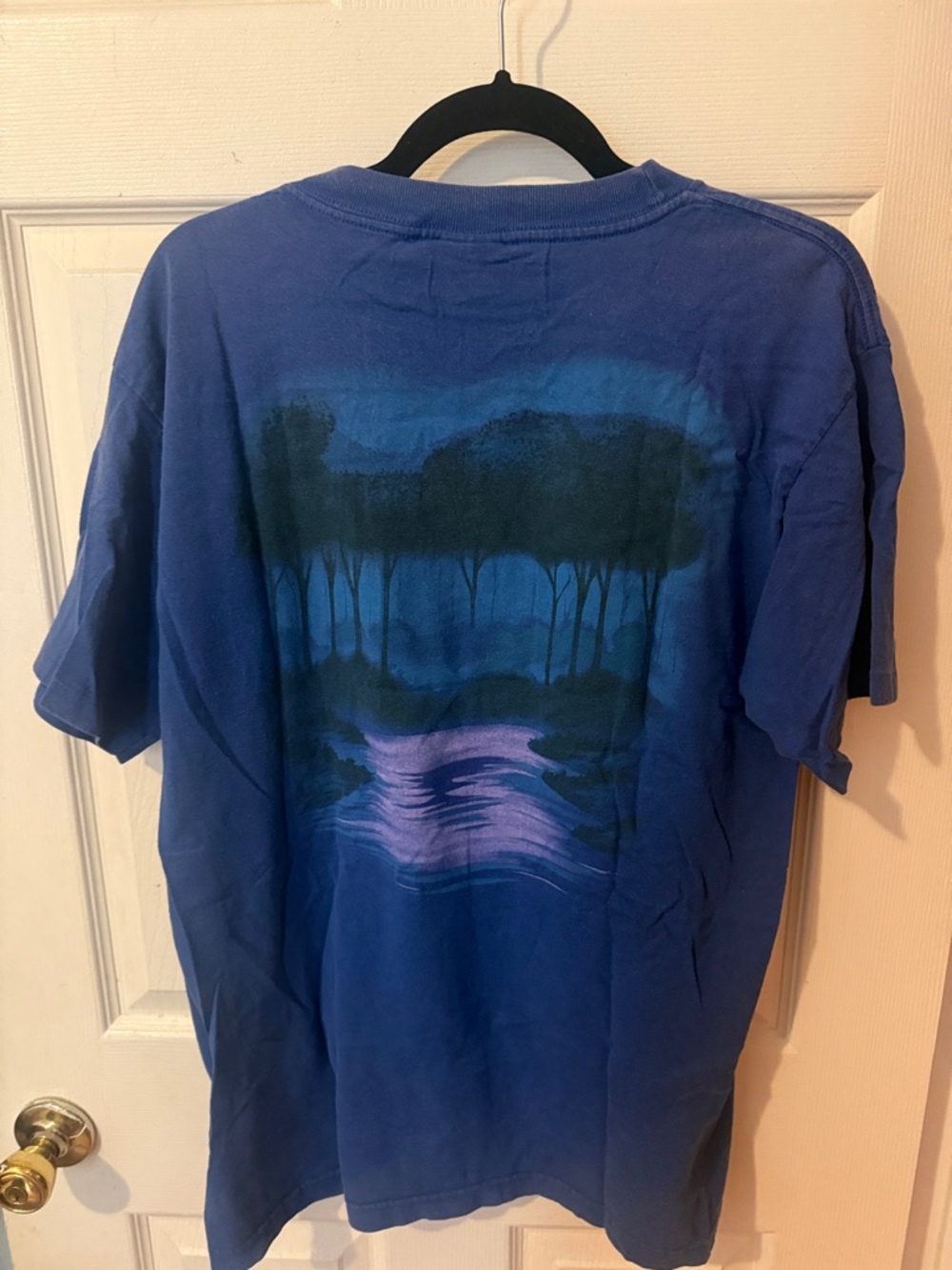 Vintage 1995 Disney Store Pocahontas Tee - Adult L - Picture 2 of 3